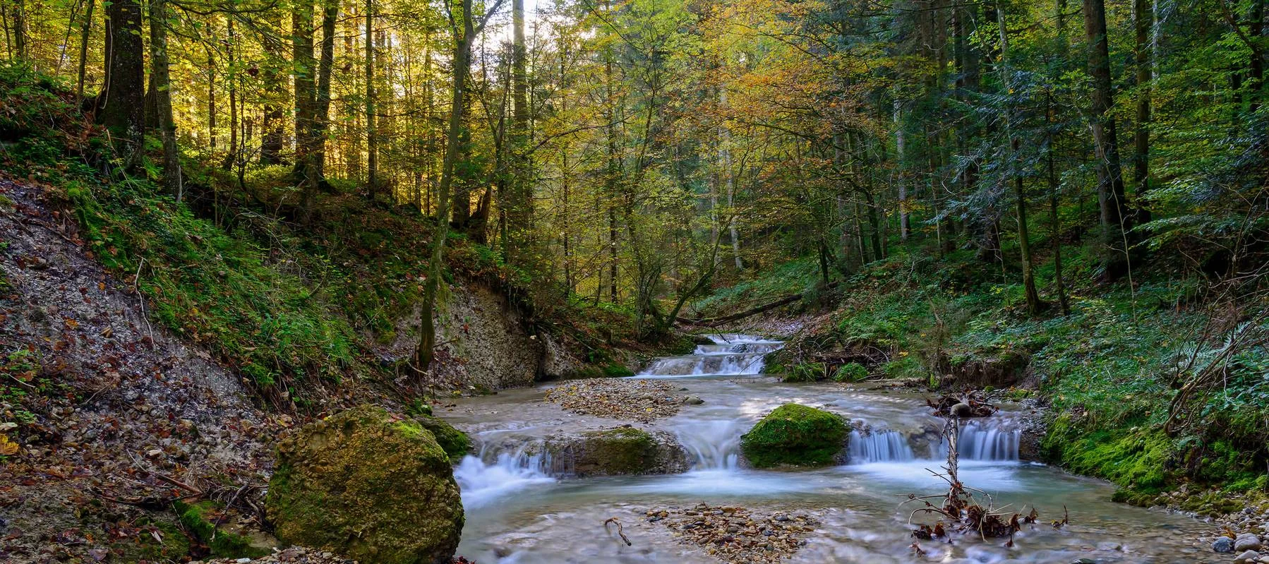Scheidegg Flusslandschaft