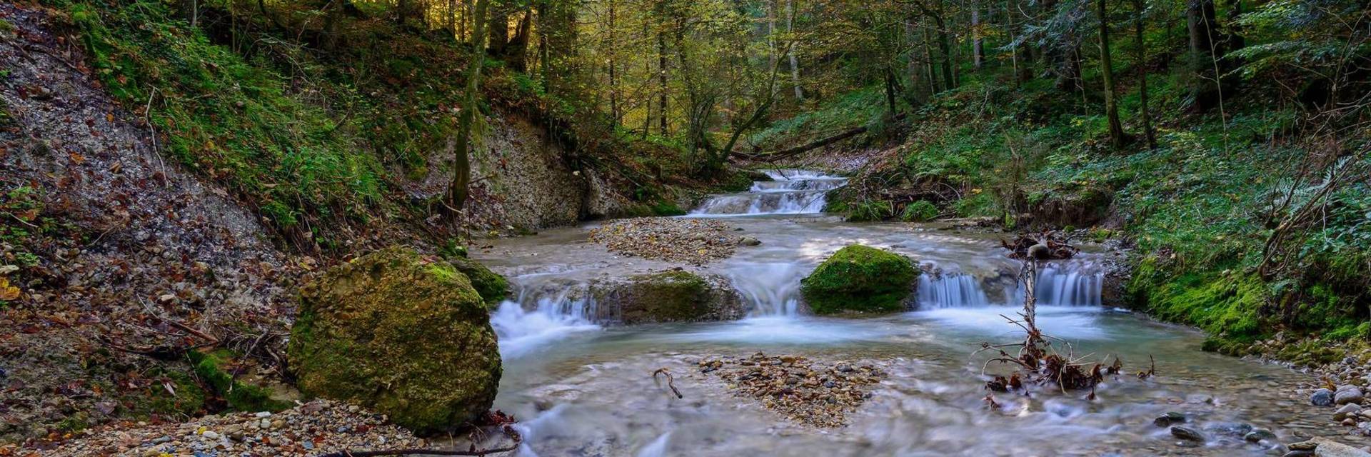 Scheidegg Flusslandschaft