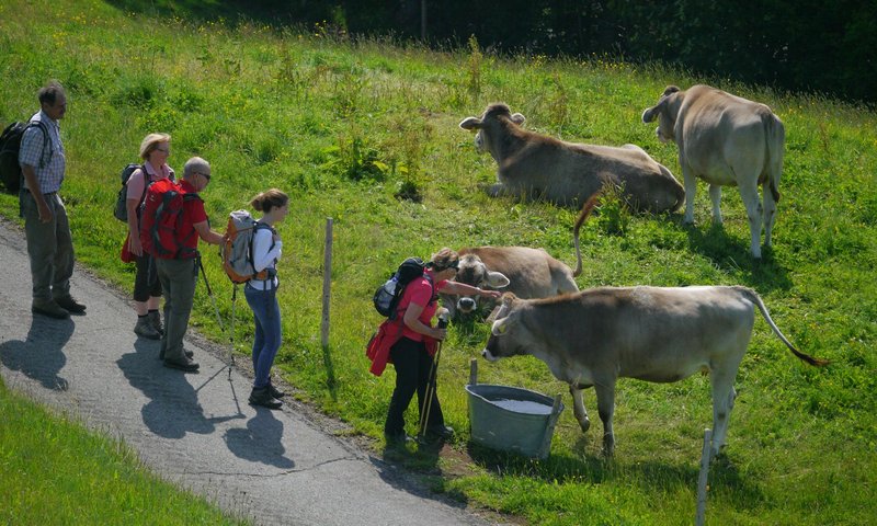 Wandertrilogie Allgäu