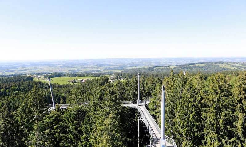 Wald Abenteuerwelt Skywalk Allgäu 