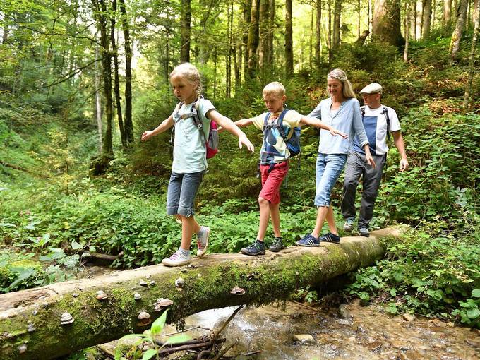 Familienwanderung Waldlehrpfad Moeggers