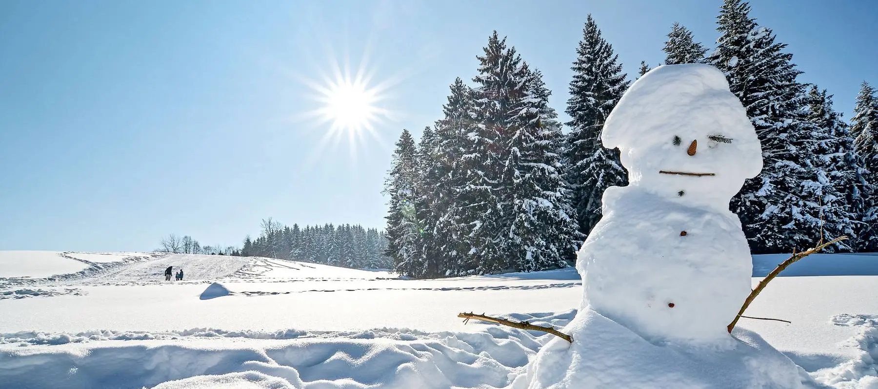 Scheidegg Winter Schneebericht