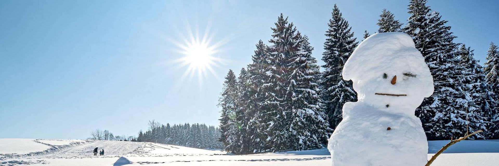 Scheidegg Winter Schneebericht