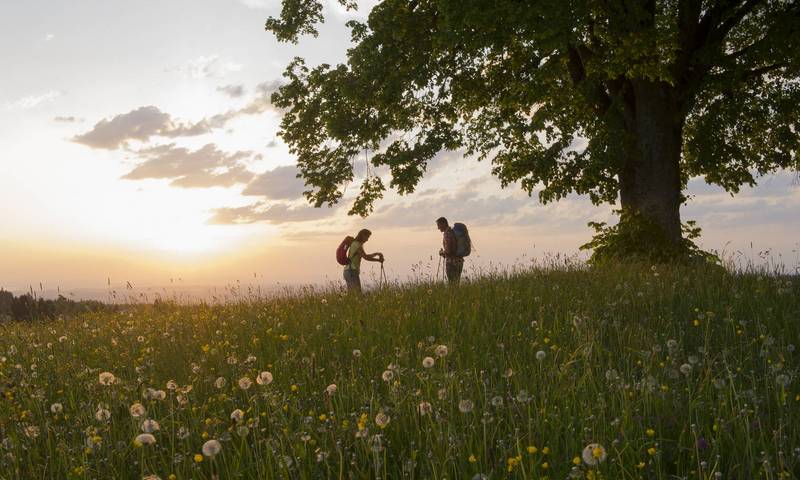 Wanderer im Sonnenuntergang