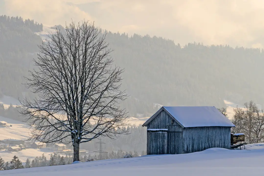 Winteridylle in Scheidegg