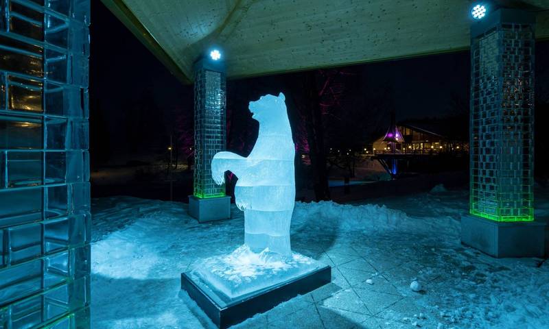 Eisskulptur D´Schoidegger Isbär