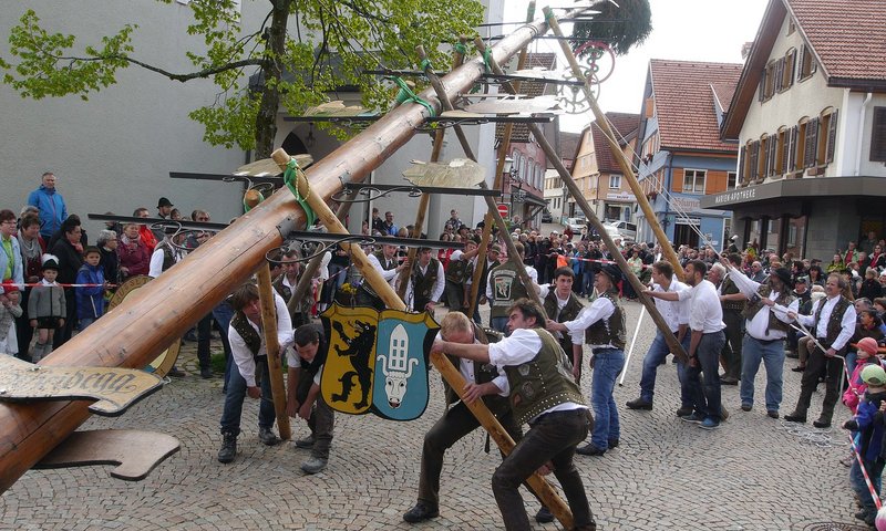 Maibaum Tradition in Scheidegg