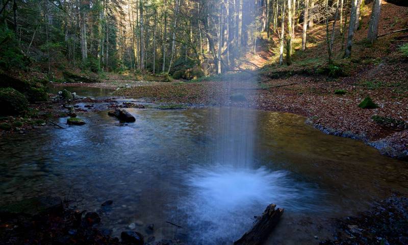 Hasenreuter Wasserfaelle Scheidegg