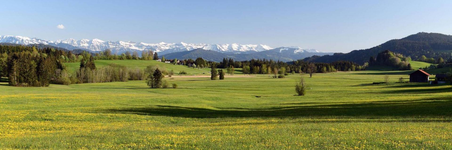 Scheidegg Landschaft Fruehling